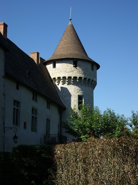Aulteribe_01.jpg