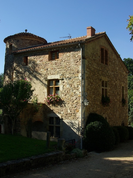 Aulteribe_04.jpg