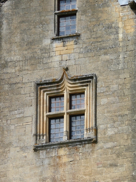 Château de Salignac