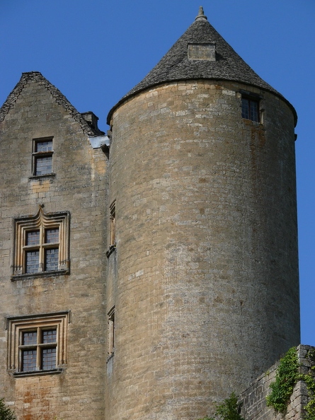 Château de Salignac