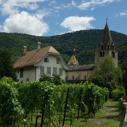 Aigle (SUISSE)