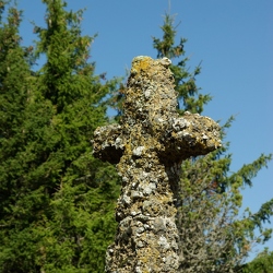 Borée