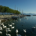 Lausanne