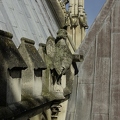 Reims_cathedrale_09.JPG