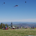 Cervolix - 2012