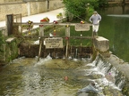 La Route du Champagne en fête - 2008