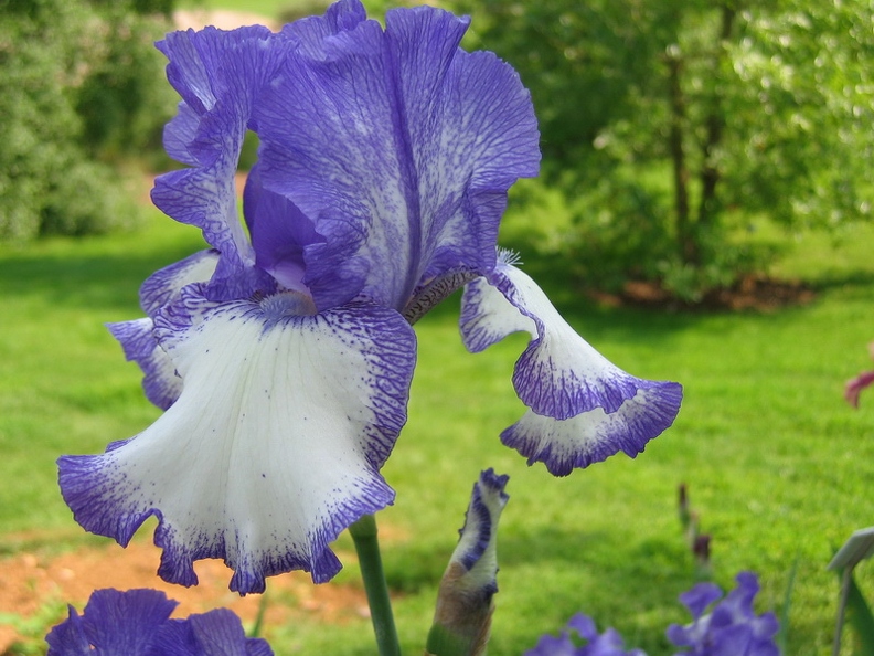 Jardin_botanique_Montet_01.jpg