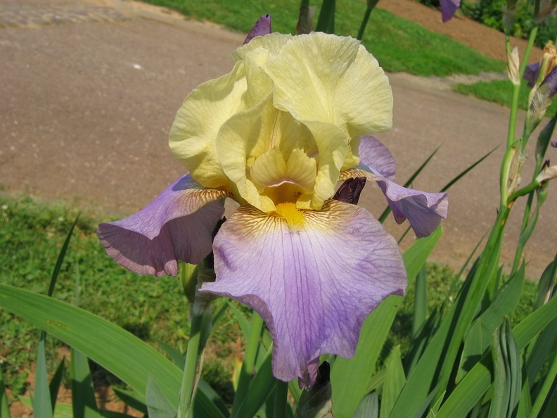 Jardin_botanique_Montet_02.jpg