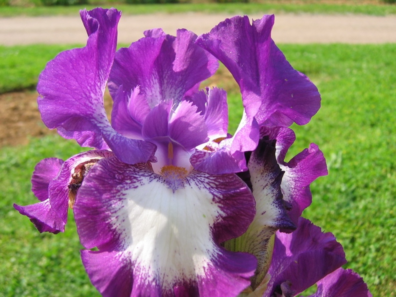 Jardin_botanique_Montet_03.jpg