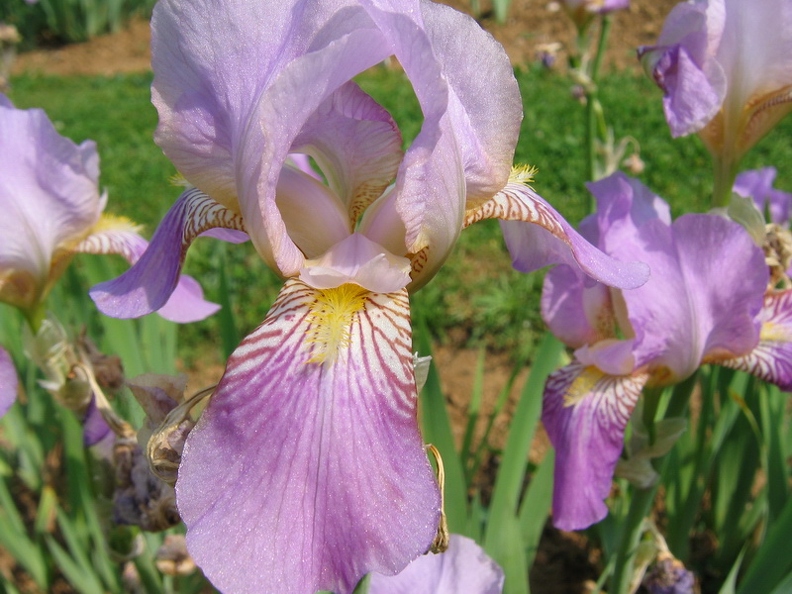 Jardin_botanique_Montet_10.jpg