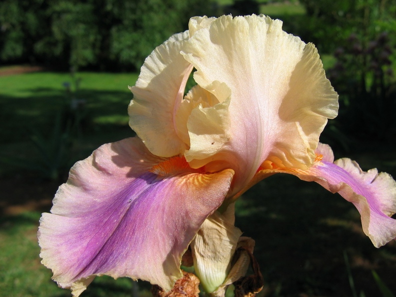 Jardin_botanique_Montet_20.jpg