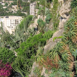 Jardin exotique de Monaco