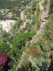 Jardin exotique de Monaco