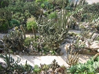 Jardin exotique de Monaco