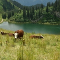 Lac et Pointe d'Arvouin