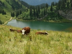 Lac et Pointe d'Arvouin