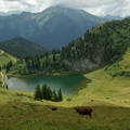 Lac et Pointe d'Arvouin