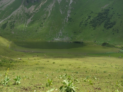 Lac de Lovenex