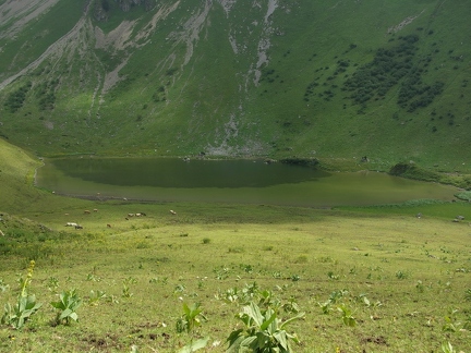 Lac de Lovenex