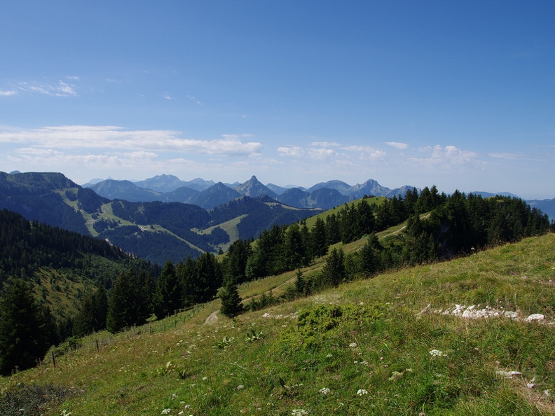 Crête des Mémises
En arrière plan, notamment : l'Arête des Aiguillettes (1634 m), la Pointe d'Ireuse (1890 m) et le Mont Billiat (1894 m) Les_Memises_05.jpg