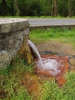 Source du Gros Bouillon ou source de l'Ours