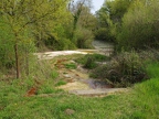 Source du Gros Bouillon ou source de l'Ours