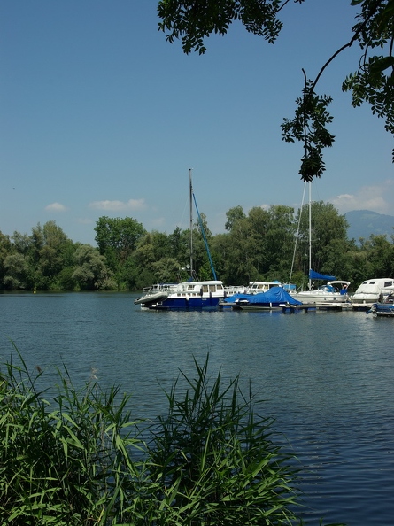 Port du Vieux Rhône
Noville - canton de Vaud (SUISSE) Grangettes_08.jpg