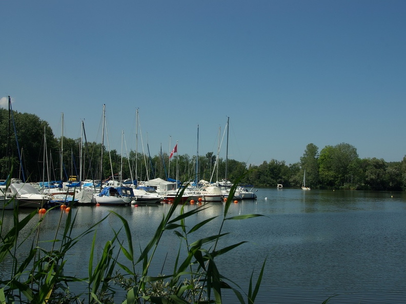 Port du Vieux Rhône
Noville - canton de Vaud (SUISSE) Grangettes_09.jpg