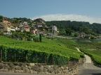 Terrasses de Lavaux