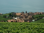 Terrasses de Lavaux