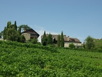 Terrasses de Lavaux