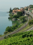 Terrasses de Lavaux