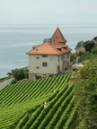 Terrasses de Lavaux