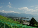 Terrasses de Lavaux